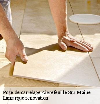 Pose de carrelage  aigrefeuille-sur-maine-44140 Lamarque renovation