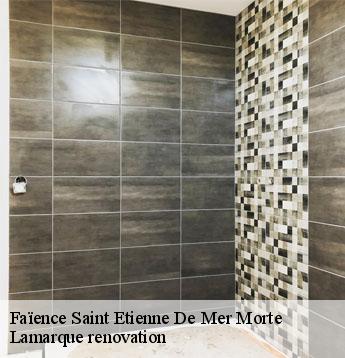 Faïence  saint-etienne-de-mer-morte-44270 Lamarque renovation